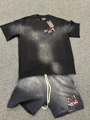 OIO SET Spray Wash